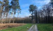 Randonnée Marche Villers-la-Ville - Abbaye Villers-la-Ville: promenade des chevreuils  - Photo 1