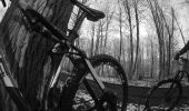 Tocht Mountainbike 's-Gravenbrakel - vtt ronquiére 1 - Photo 7