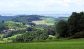 Randonnée A pied Abtsteinach - Rundwanderweg Steinachquelle 4: Götzenstein-Weg - Photo 8