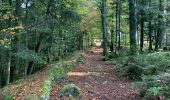 Tour Wandern Sankt Didel - Camp celte de La Bure et Roche des Corbeaux  - Photo 4