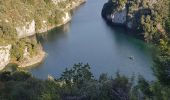 Trail Walking Artignosc-sur-Verdon - Boucle du verdon - Photo 4