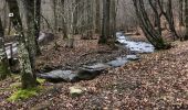 Trail Walking Nassogne - Nassogne Forêt St Hubert Nassogne  - Photo 1