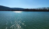Excursión Senderismo Amay - Le Lac de la Gravière   - Photo 10