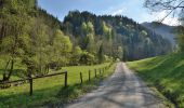 Tour Zu Fuß Pernegg an der Mur - Wanderweg 10 - Photo 2