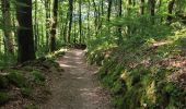 Excursión Senderismo Bort-les-Orgues - tour des orgues  - Photo 10