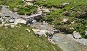Randonnée Marche Pralognan-la-Vanoise - Pralognan 2025-07-15 Lac des vaches - Col de Rosset - Photo 7