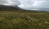 Tour Wandern West Cork - Hungry Hill - Photo 6