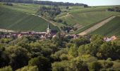 Excursión A pie Volkach - Panoramaweg Mainschleife - Photo 4