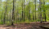 Tocht Stappen Esneux - entre Mery et bois Manant - Photo 15