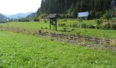 Trail On foot Gemeinde Göstling an der Ybbs - Rundwanderweg 6 - Photo 1