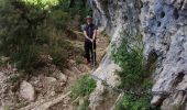 Tour Wandern Saint-Rémy-de-Provence - Mt Gaussier - Photo 18