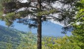 Trail Walking Cusy - 13-09-2022 La Grand-Raie au Col de la Cochette - Photo 6