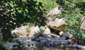 Excursión Senderismo Pourcharesses - au coeur des gorges du chassezac au départ de Villefort  - Photo 3