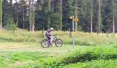 Tocht Elektrische fiets Mertzen - sortie vtt 12082023 sundgau - Photo 3
