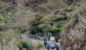 Tour Wandern Santa Cruz de Tenerife - BENIJO - El Draguillo - Photo 7