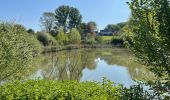 Tocht Stappen Chaumont-Gistoux - SityTrail - #181130 - Autour de Vieusart, version courte - Photo 5