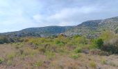 Tour Wandern Opoul-Périllos - cauna roja . perillos . château d´opoul  - Photo 12