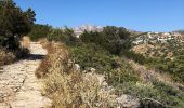Trail Walking Πρόδρομος - Prodromos - Lefkes A-R par la « Route Byzantine «  - Photo 7