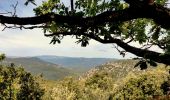 Randonnée Marche Solliès-Toucas - Chêne de Mistral - Puit de Junca - Les jounces - Stele - Bidoufles - Aven de l'enfer - Photo 7