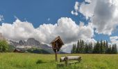 Tocht Te voet Welschnofen - Nova Levante - (SI C16N) Bivio Rifugio Coronelle - San Cipriano Tires - Photo 7