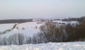 Tocht Te voet Schwebheim - Rundwanderweg durch die Gemarkung Schwebheim - Photo 4