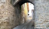 Percorso  La Sône - La Sône le sentier du martin pêcheur  - Photo 15