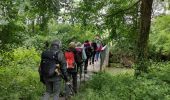 Trail Nordic walking Claracq - CLARAC LALONQUETTE LANUSSE - Photo 5