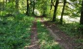 Trail Walking Tintigny - Lahage 15 septembre 2018 - Photo 4