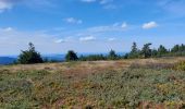 Trail Walking Orbey - Lac noir lac blanc  - Photo 3