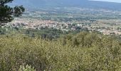 Tour Wandern Pourrières - Puyloubier  - Photo 17