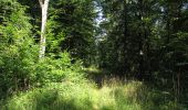 Trail Walking Lacroix-Saint-Ouen - en forêt de Compiègne_35_la Croix Saint-Sauveur_le Ru du Goderu - Photo 3