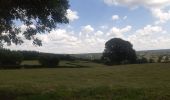 Tour Wandern Theux - jehanster . croix du petit Jean . vervifontaine . foyr . surister . jehanster  - Photo 6