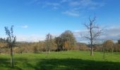 Trail Walking Liège - les 4 terrils - Photo 14