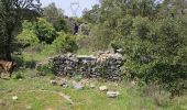 Trail Walking Signes - Plateau d'Agnis en partant de La Marseillaise - Photo 16