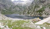 Trail Walking Saint-Martin-Vésubie - Refuge de Nice - Photo 12