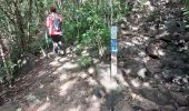 Trail Walking Les Anses-d'Arlet - Grande Anse - Cap Salomon - Photo 9