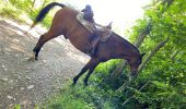 Trail Horseback riding Beaufort - Chez nous à chez Bertrand  - Photo 14