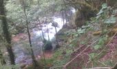 Randonnée Marche Mouthier-Haute-Pierre - gorges de noailles  - Photo 12