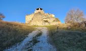 Excursión Senderismo Piégros-la-Clastre - chateu de piegros - Photo 4