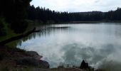 Tour Wandern Le Valtin - Les Rochers des Hirschsteine - Lac Vert - Photo 2