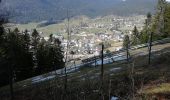 Excursión Senderismo Autrans-Méaudre en Vercors - Le bois du Claret - Photo 7