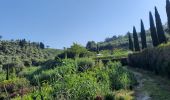 Tour Wandern Carrara - CR_Francigena_CI_32_Carrare-Avenza_Massa_20220615 - Photo 14