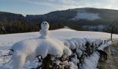 Percorso Marcia Stoumont - balade hivernale avec Rantanplan  - Photo 9