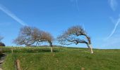 Tocht Stappen Hautot-sur-Mer - Autour de Varengeville-sur-Mer - Photo 4