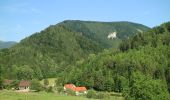 Tour Zu Fuß Semriach - Wanderweg 7 - Photo 4