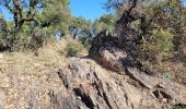 Randonnée Marche Roquebrune-sur-Argens - Massif flute - Photo 4