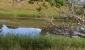 Trail Walking Sainte-Anne - Belle mare  - Photo 3