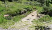 Trail Walking Mont-Dore - Première randonnée dans le Sancy - Photo 19