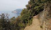 Trail Walking Vernazza - RA 2019 Cinque Terre Vernazza Monterosso - Photo 4