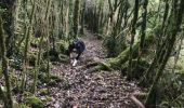 Trail Walking Lentillac-du-Causse - Lantillac du causse - Photo 1